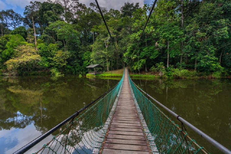 026 Sandakan, rainforest discovery centre.jpg